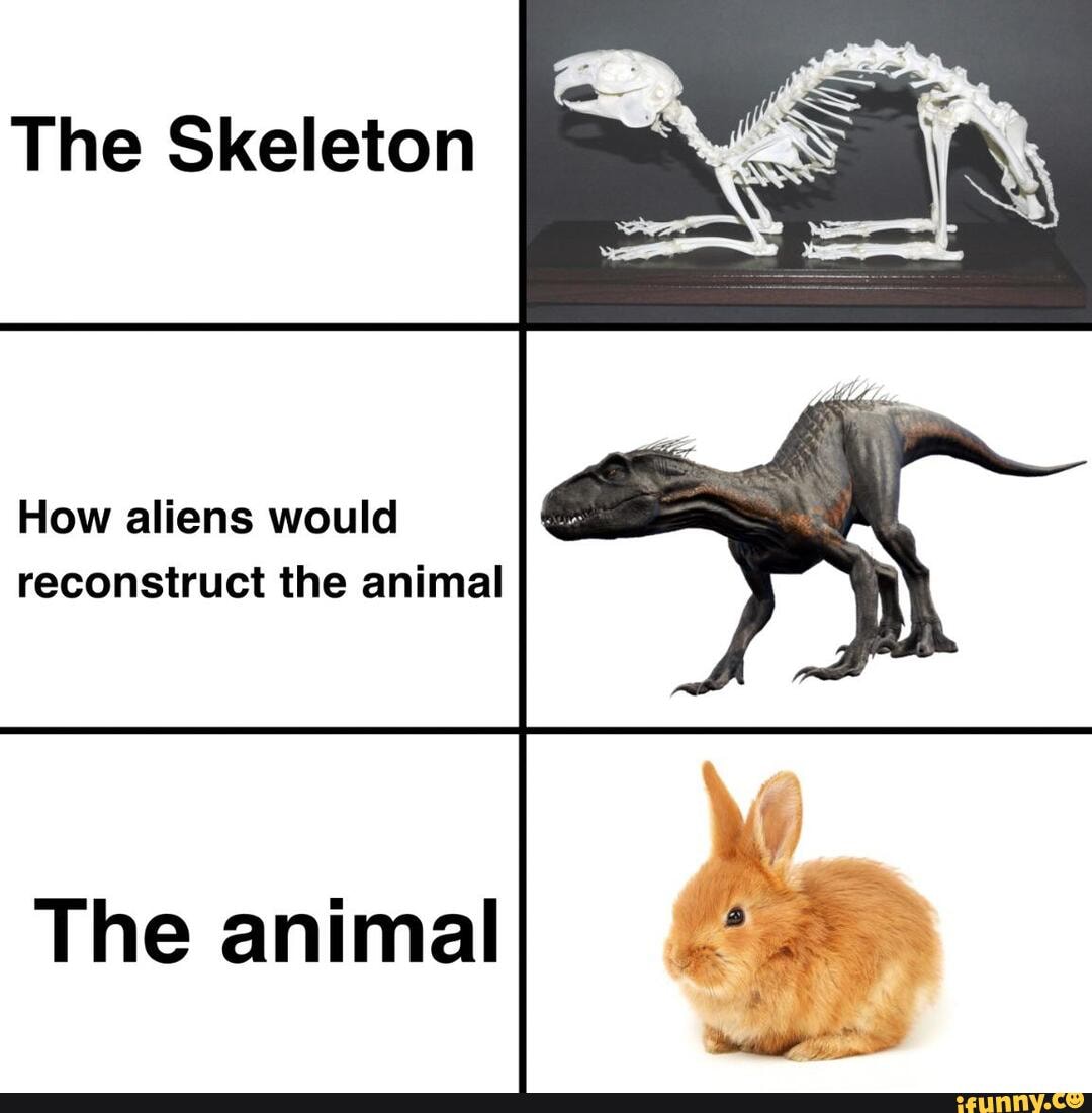 The Skeleton How Aliens Would Reconstruct The Animal The Animal 