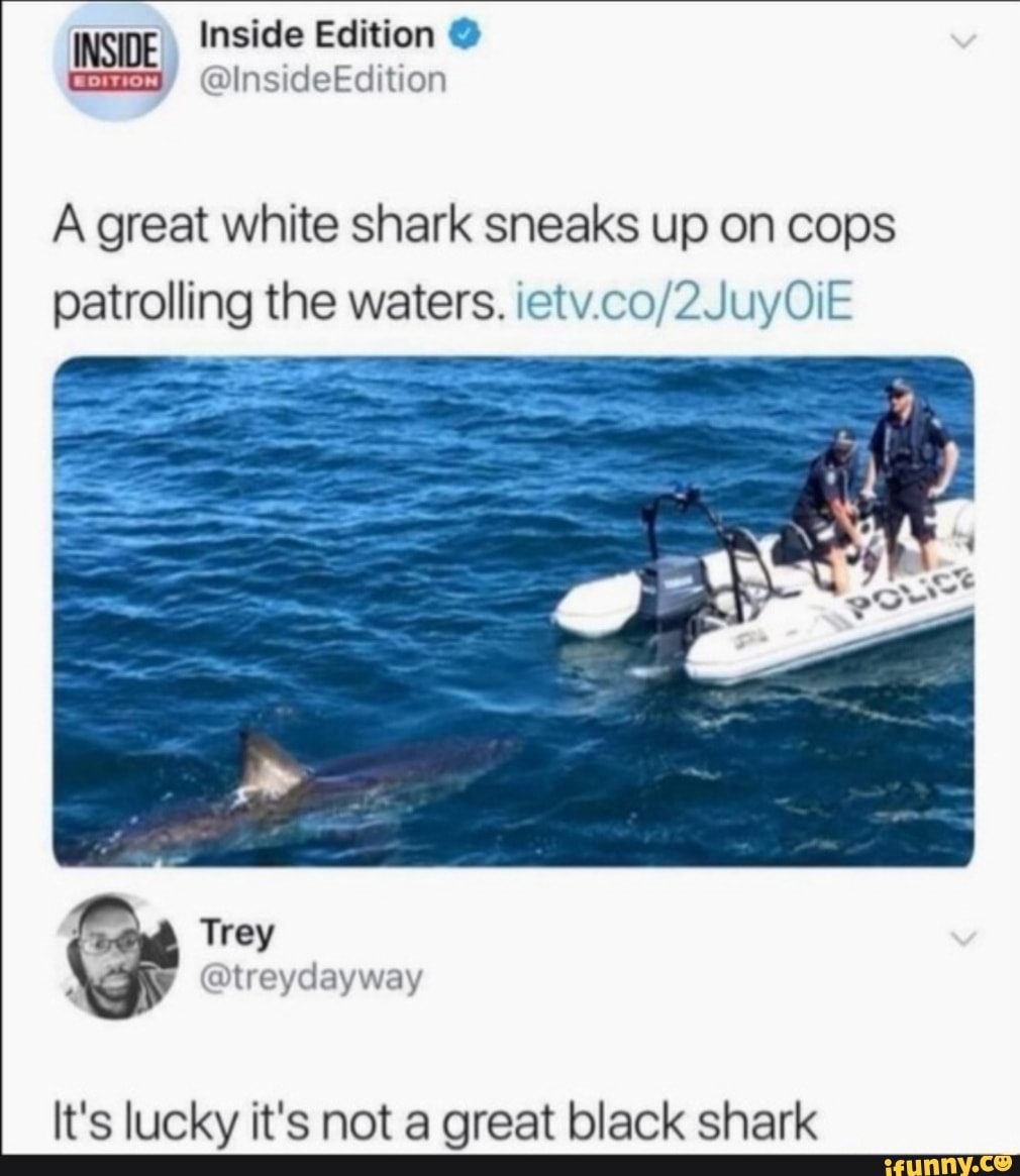 Inside Edition @
InsidE ccition
A great white shark sneaks up on cops patrolling the waters.
Ctreydayway
It's lucky it's not a great black shark