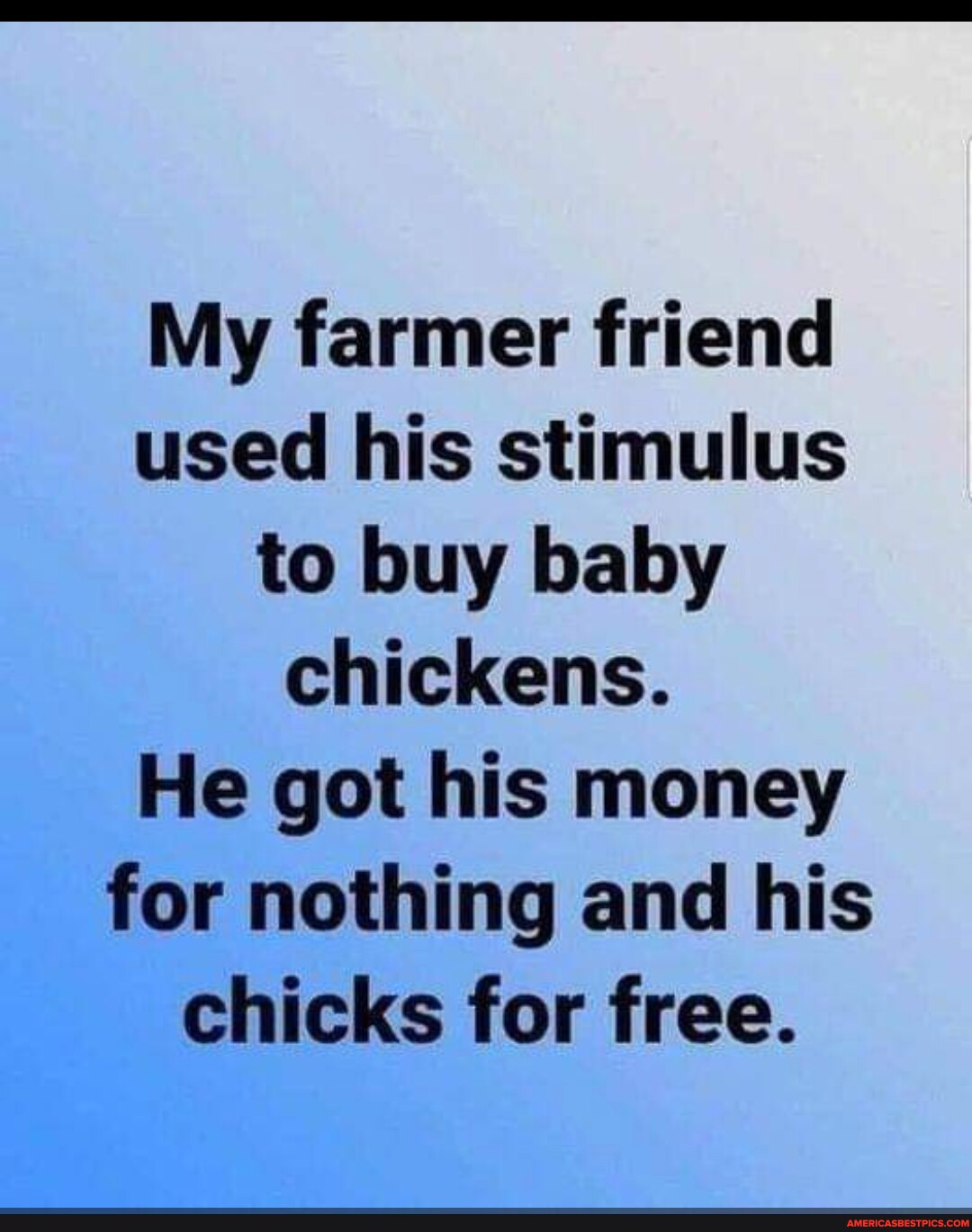 My farmer friend used his stimulus to buy baby chickens he got his