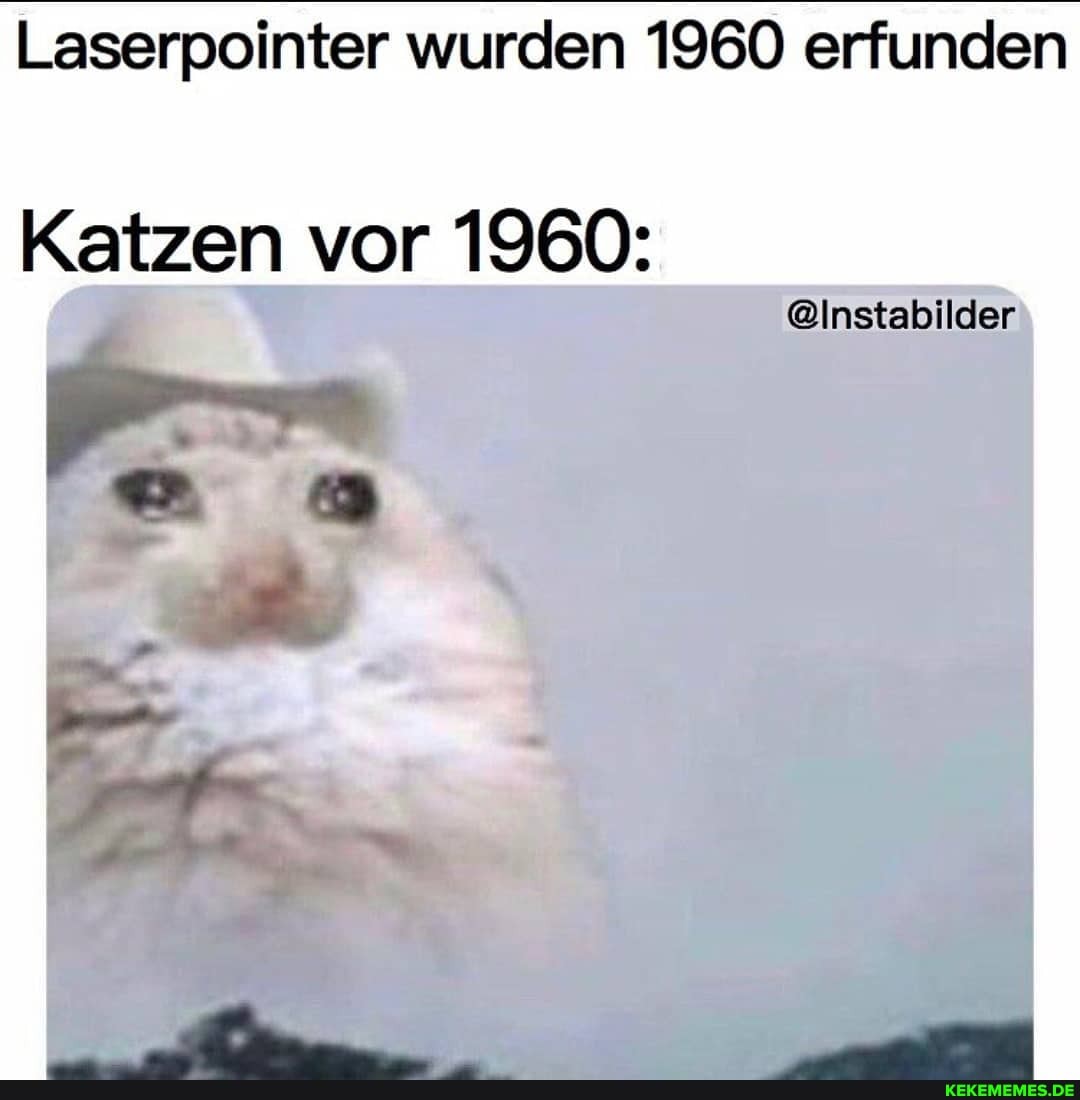 Laserpointer Wurden 1960 Erfunden @Instabilder Katzen Vor 1960: - Keke