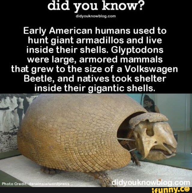 Did you know? Early American humans used to hunt giant armadillos and ...