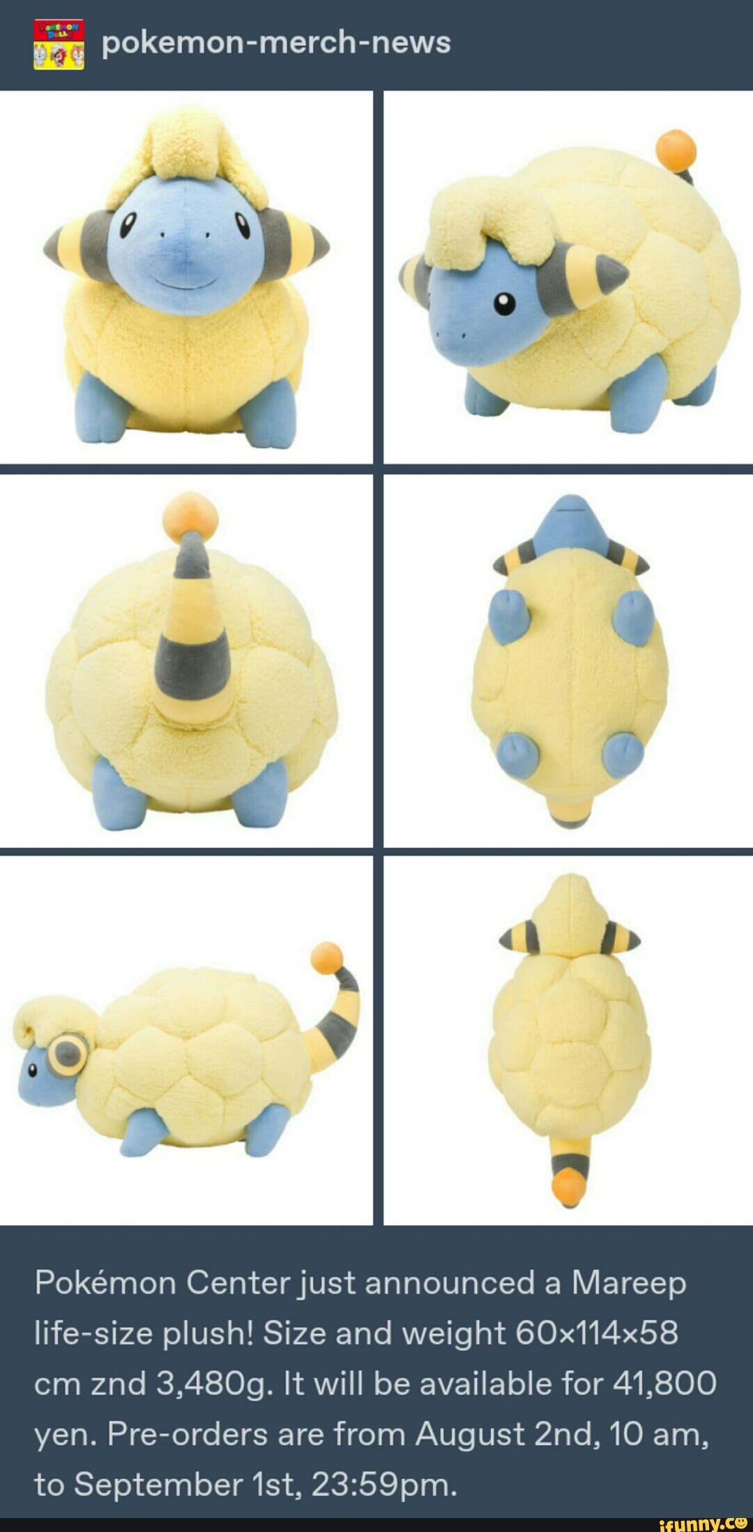 Pokemon Merch News Pokemon Centerjust Announced A Mareep Life Size Plush Size And Weight 60x114x58 Cm Znd 3 4809 It Will Be Available For 41 800 Yen Pre Orders Are From August 2nd 10 Am To September1st 23 59pm