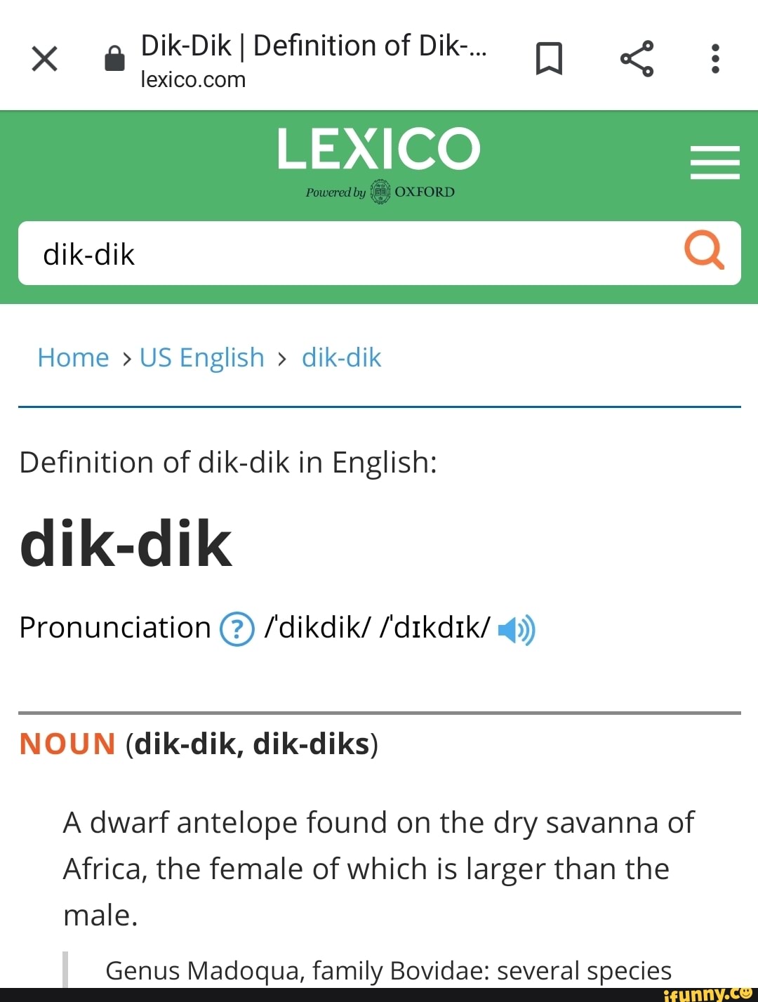 LEXICO Definition of dik-dik in English: dik-dik Pronunciation (2