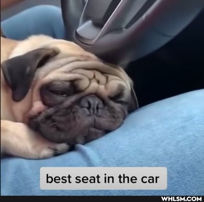 best seat in the car