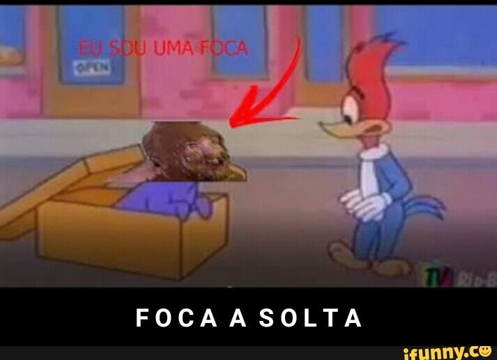 FOCA A SOLTA - F O C A A S O L T A