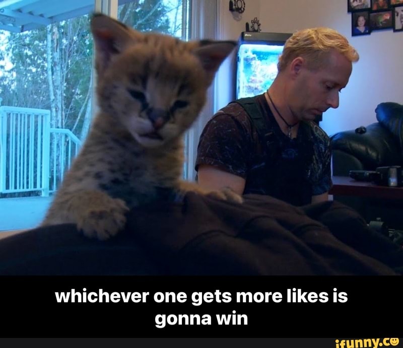 whichever one gets more likes is gonna win - whichever one gets more likes is gonna win