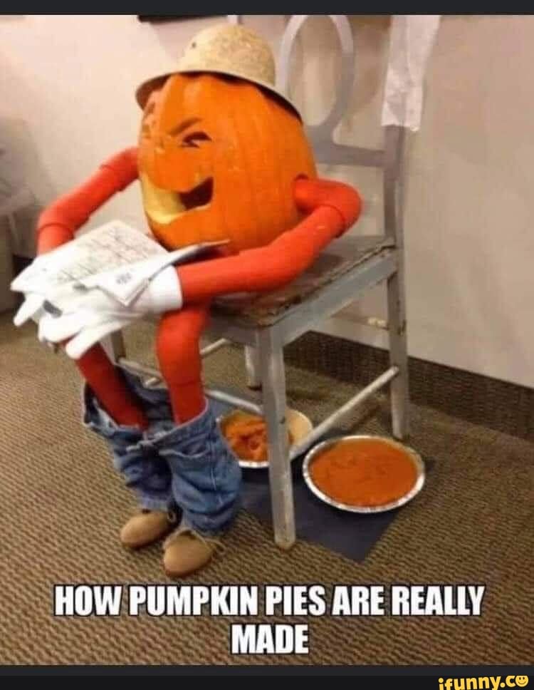 HOW PUMPKIN PIES ARE REALLY MADE )