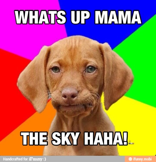 WHATS UP MAMA