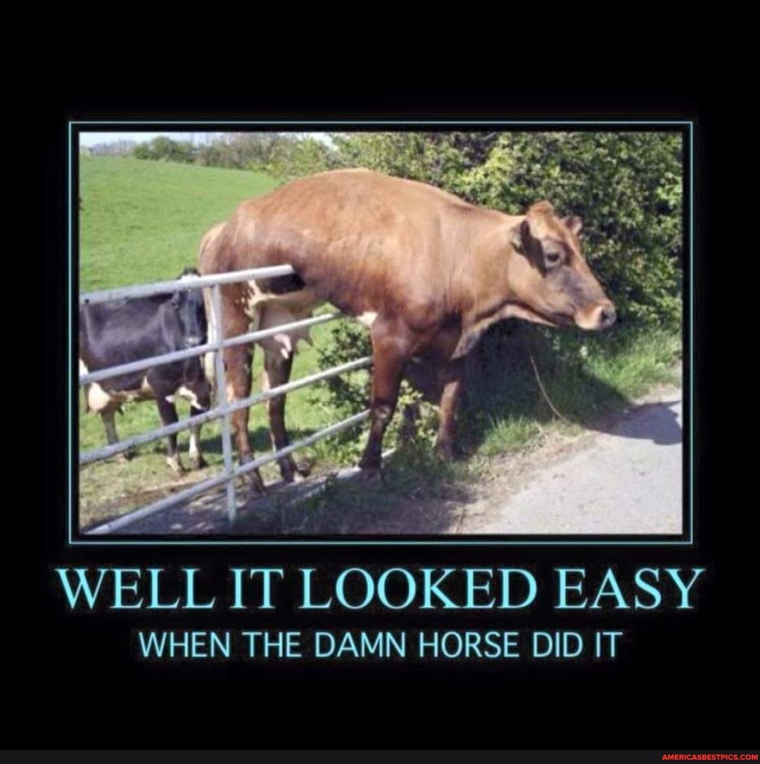 WELL IT LOOKED EASY
WHEN THE DAMN HORSE DID IT