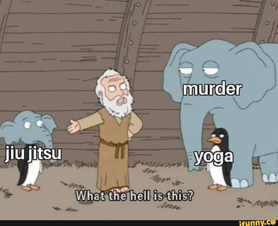 e f diu jitsu voga