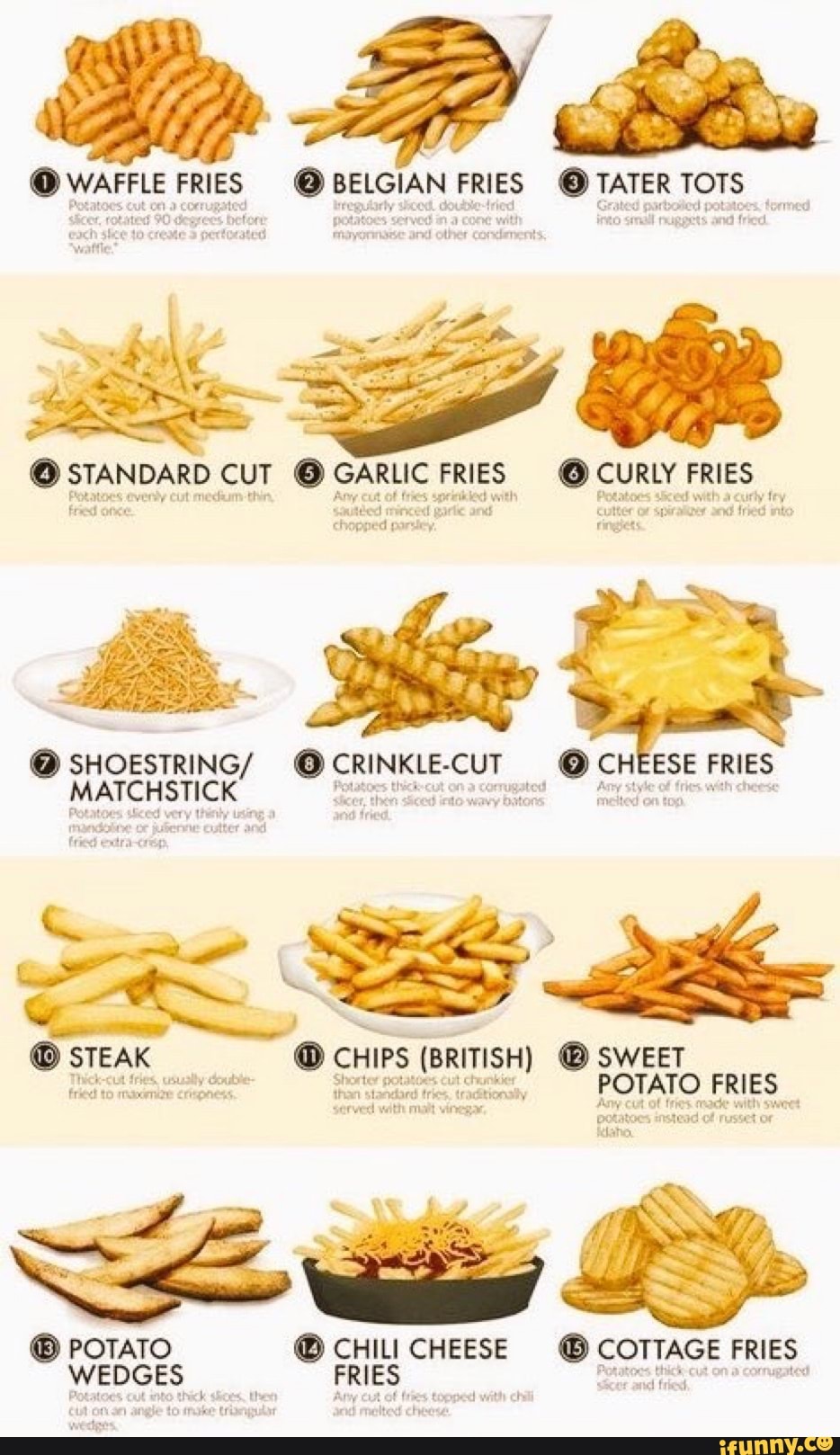 STANDARD CUT GARLIC FRIES CURLY FRIES SS F bier er big ene RE ® POTATO