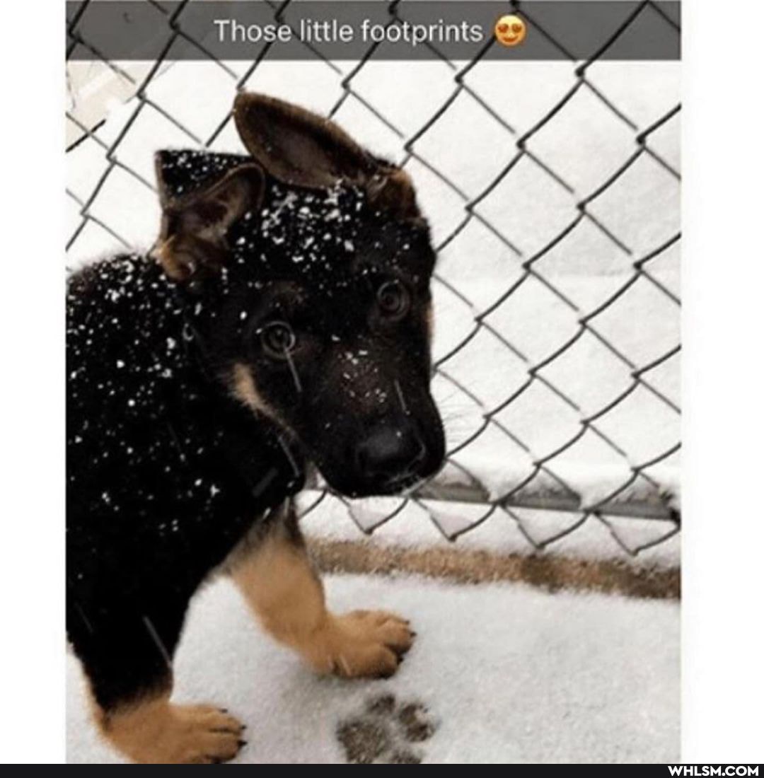 Those little footprints
AX