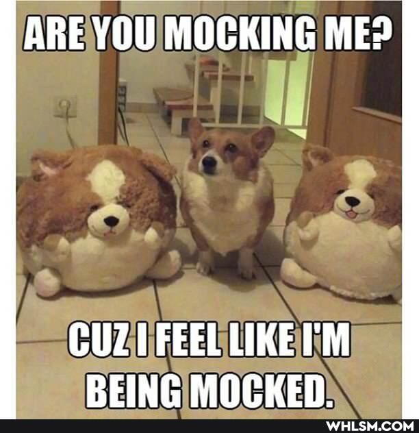 ARE YOU MOCKING ME?
CUZ FEEL LIKE TM REING MOCKER.