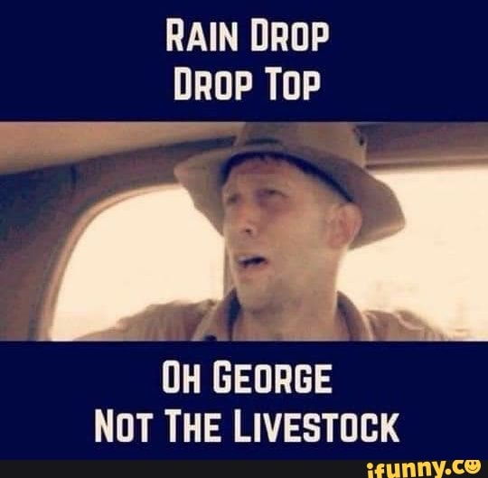Rain Drop Drop Top Oh George Not The Livestock Ifunny