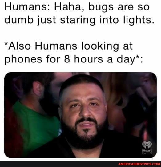 Humans: Haha, bugs are so dumb just staring into lights.
*Also Humans looking at phones for 8 hours a day*: