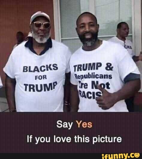 Say Yes
If you love this picture