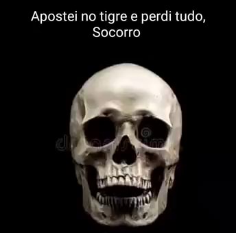 Menin e, perdi tudo no jogo do tigre - iFunny Brazil