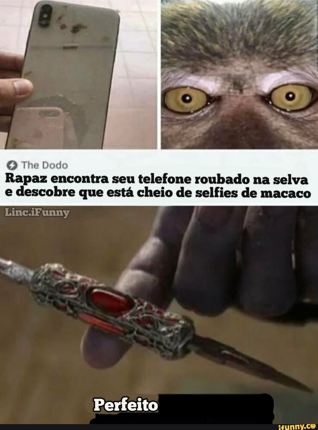 The Dodo
Rapaz encontra seu telefone roubado na selva e descobre que está cheio de selfies de macaco
Lime
Perfeito