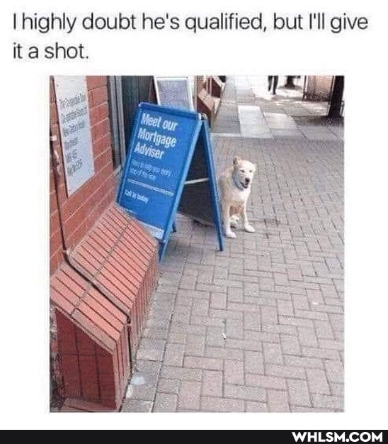 highly doubt he's qualified, but I'll give it a shot.