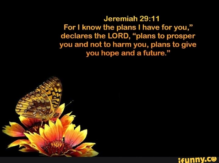 Jeremiah for i know the plans i have for you declares the lord