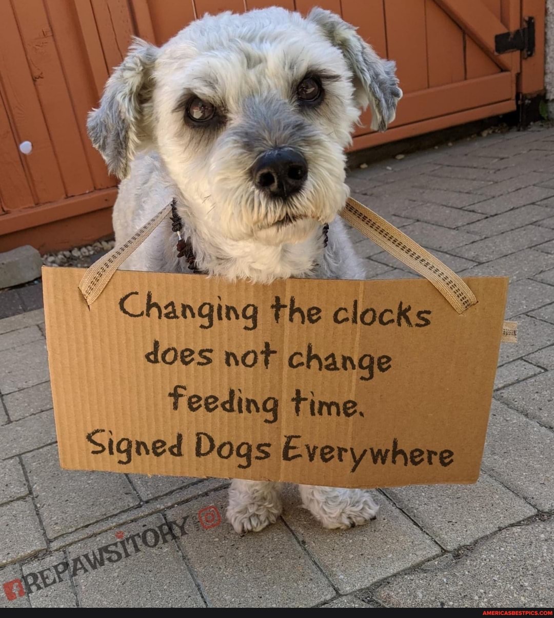 fe
Changiag
does not change
Feeding
Signed Degs Everywhere