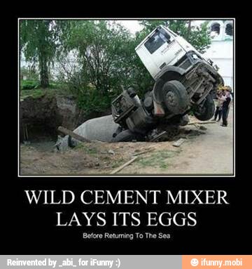 WILD CEMENT MIXER
LAYS ITS EGGS
Before Retuming To The See