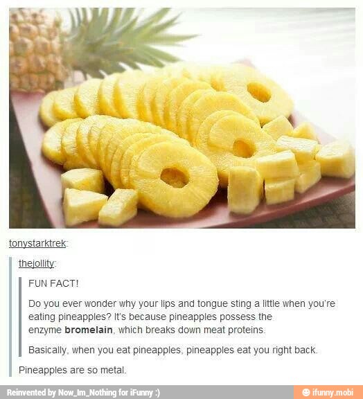 Tonystarktrek eating pineapples? I's because pineapples possess the