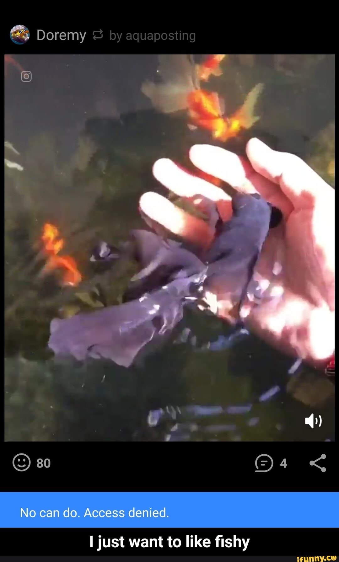 I just want to like fishy - I just want to like fishy