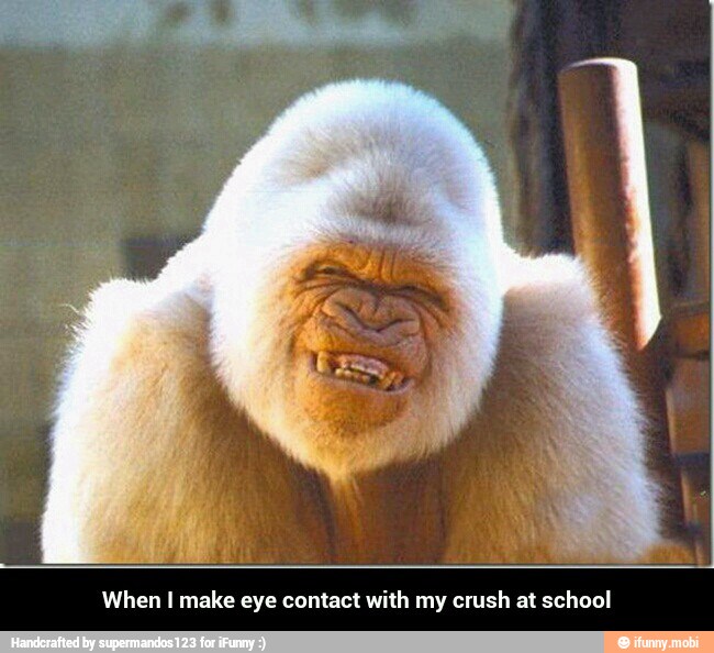 When I make eye contact with my crush at school - When I make eye contact with my crush at school