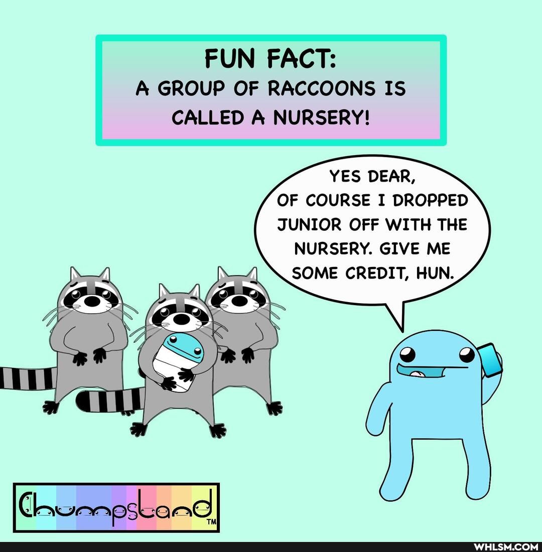 FUN FACT:
A GROUP OF RACCOONS IS CALLED A NURSERY!
YES DEAR,
OF COURSE I DROPPED JUNIOR OFF WITH THE NURSERY. GIVE ME SOME CREDIT, HUN.