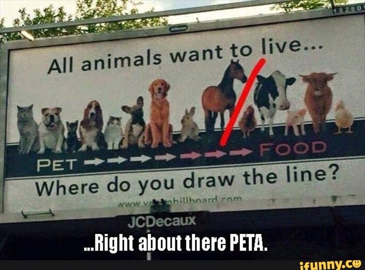 Want to live. All animals Where do you draw the line JCDecaux Right