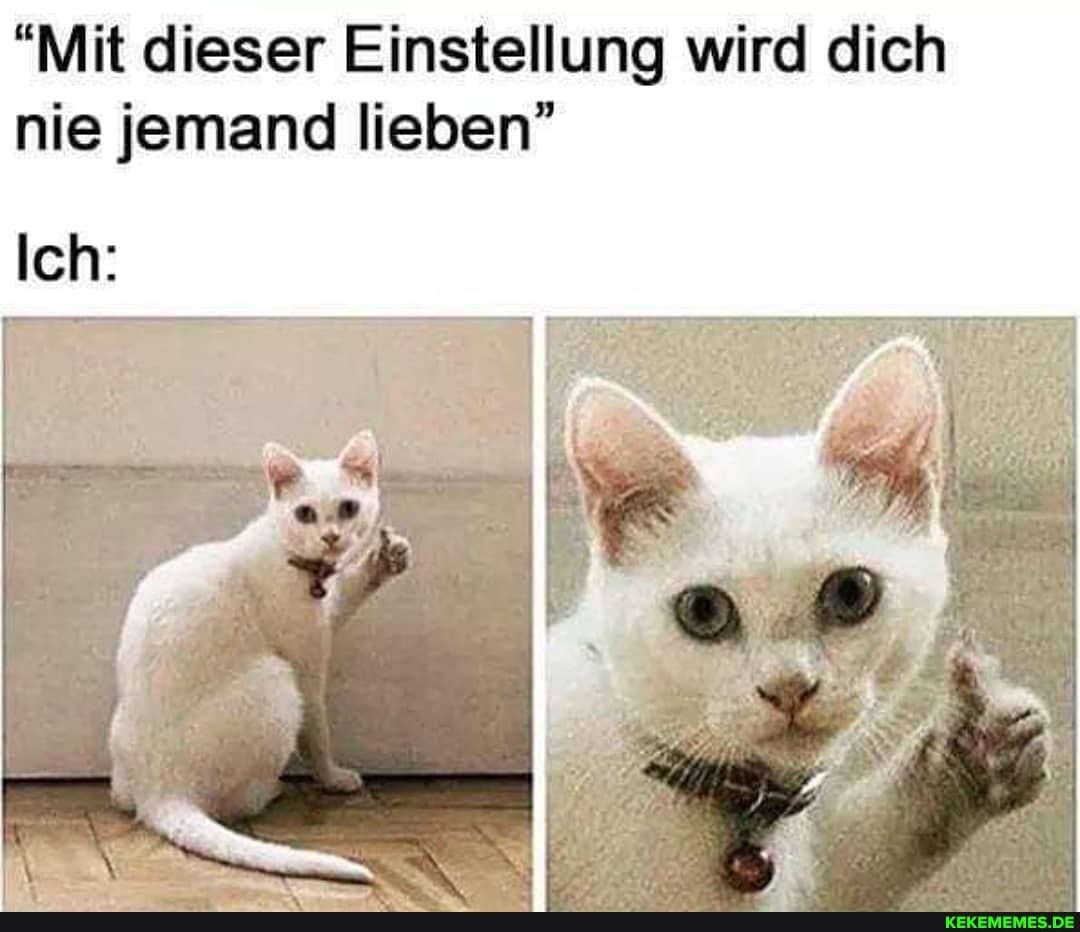"Mit dieser Einstellung wird dich nie jemand lieben"
Ich:
an