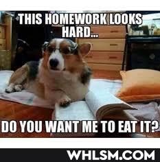 THIS HOMEWORH Hi
DO YOU WANT ME TO EAT ITS
