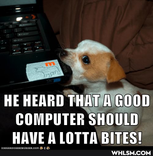 HE HEARD THAT A GOOD COMPUTER SHOULD HAVE LOTTA BITES!