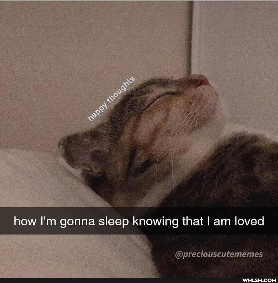 how I'm gonna sleep knowing that I am loved
@preciouscutememes