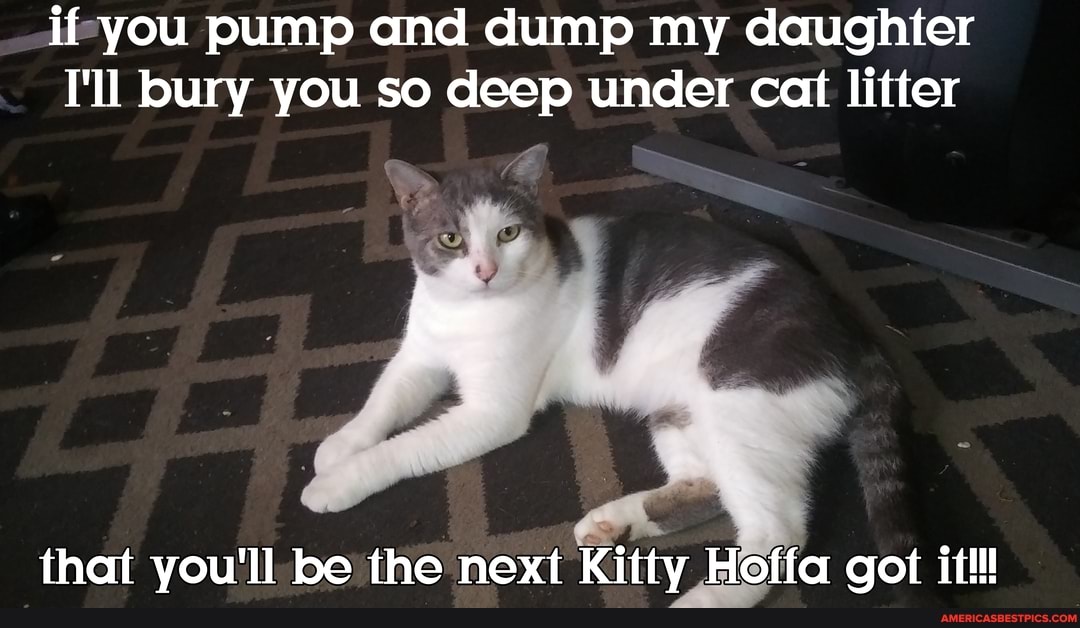 if you pump and dump my daughter
I'll bury you so deep under cat litter
that you'll be the next Kitty Hoffa got it!!!