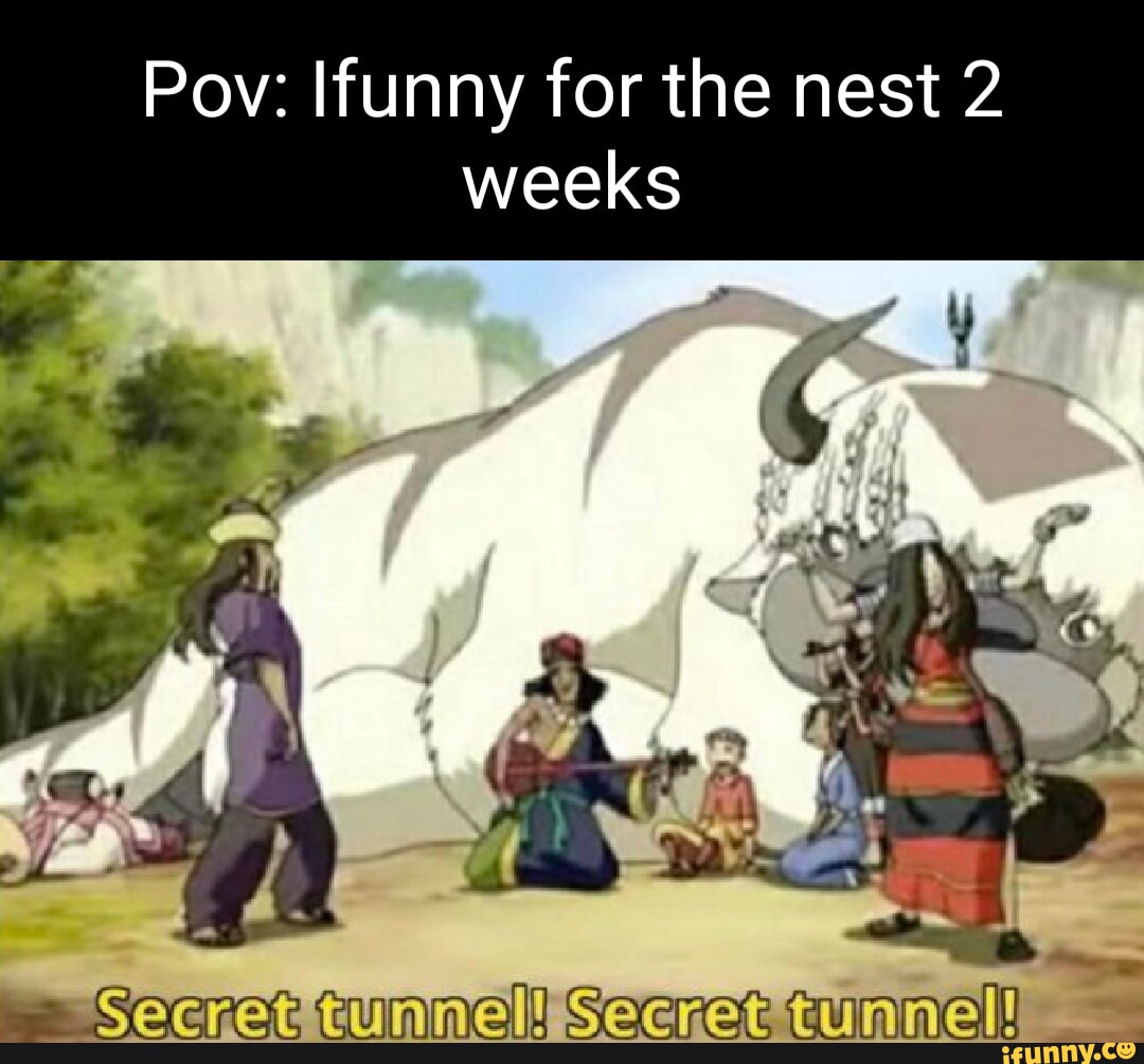 Pov: Ifunny for the nest 2 weeks at tunnel Sseret - iFunny