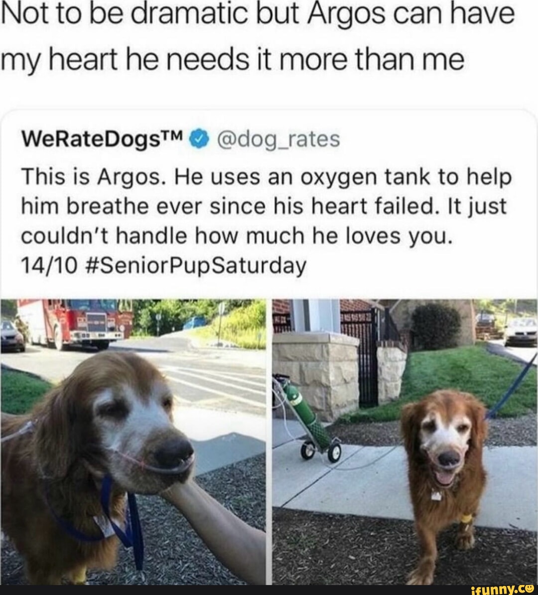 Argos memes. Best Collection of funny Argos pictures on iFunny