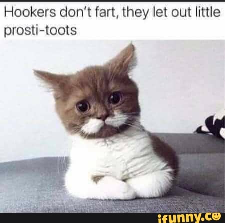 Hookers don't fart, they let out little prosti-toots