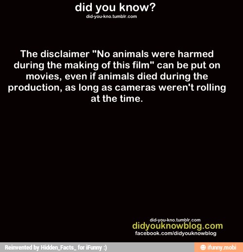 Did you know? dlijou no tumblr com The disclaimer "No animals were