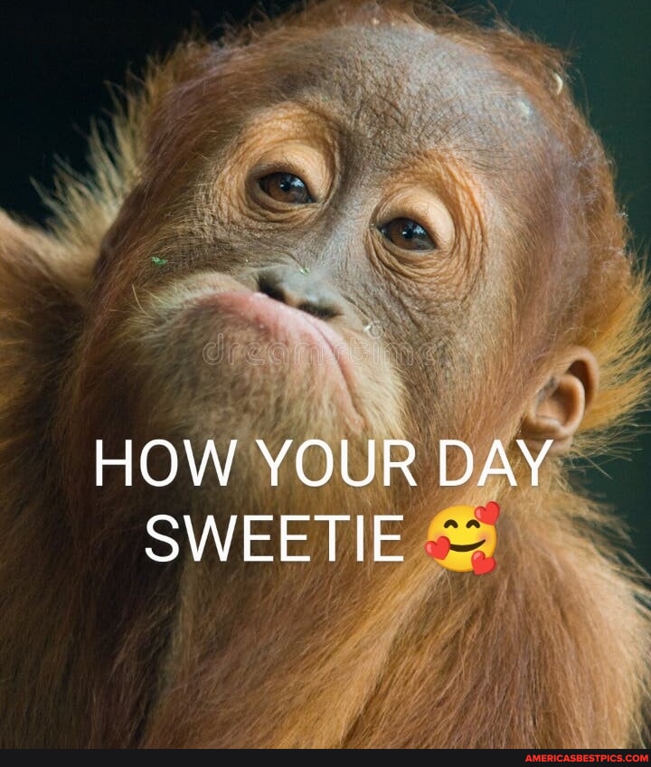 HOW YOUR DAY SWEETIE America’s best pics and videos
