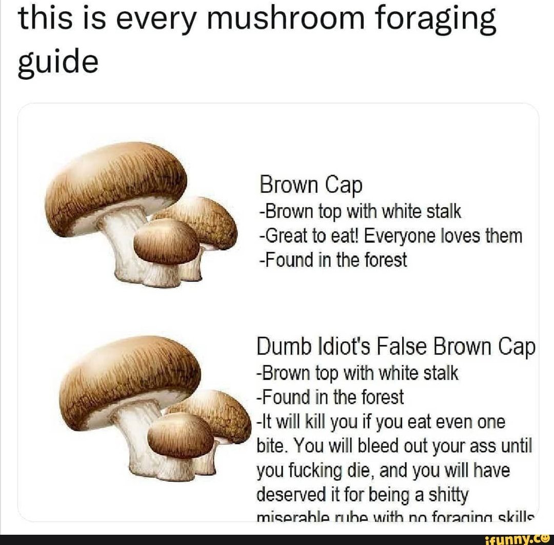 This is every mushroom foraging guide Brown Cap Brown top with white