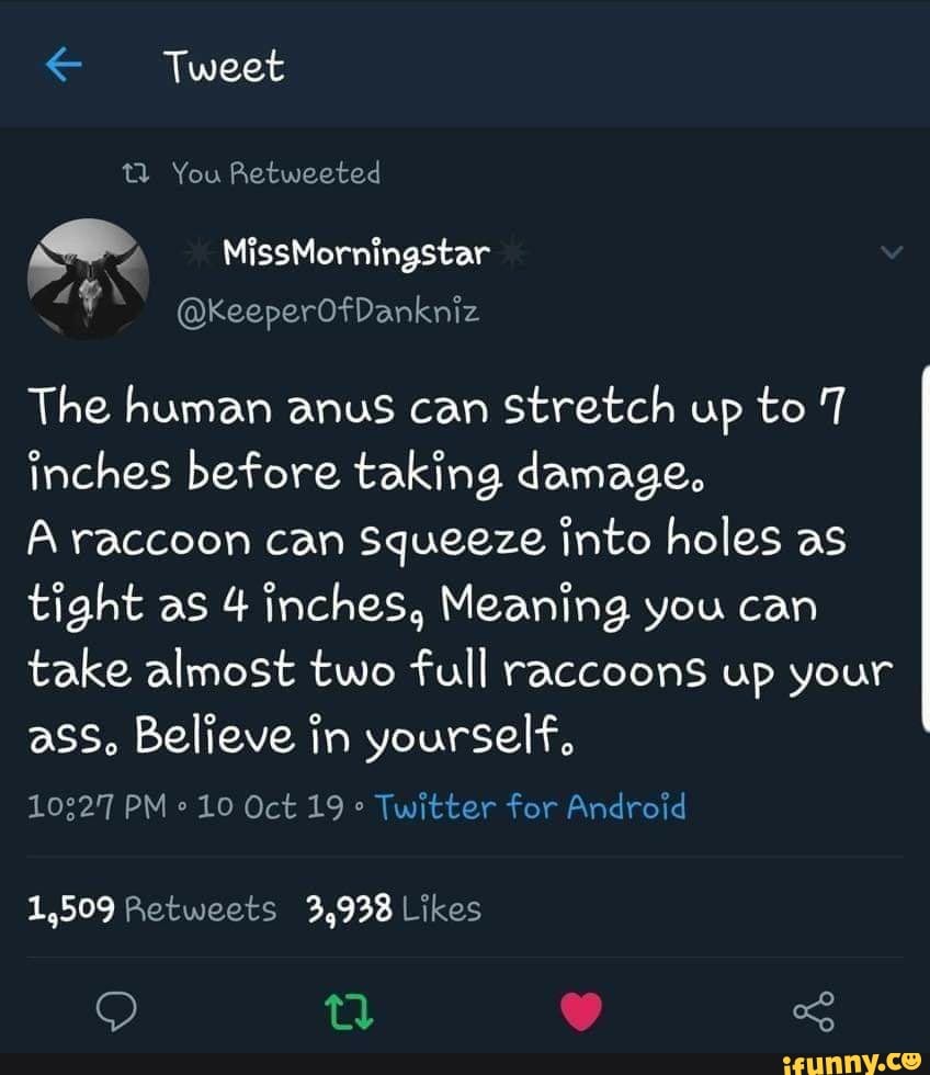 NSFW Meaning you can take almost two full raccoons up your ass. :  r/BrandNewSentence