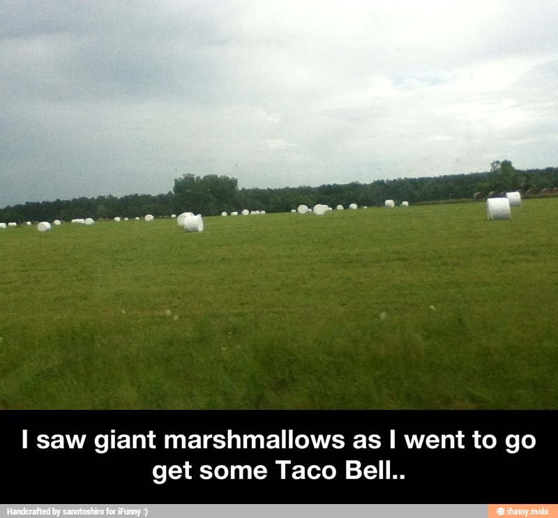 I saw giant marshmallows as I went to go
get some Taco Bell.. - I saw giant marshmallows as I went to go get some Taco Bell..