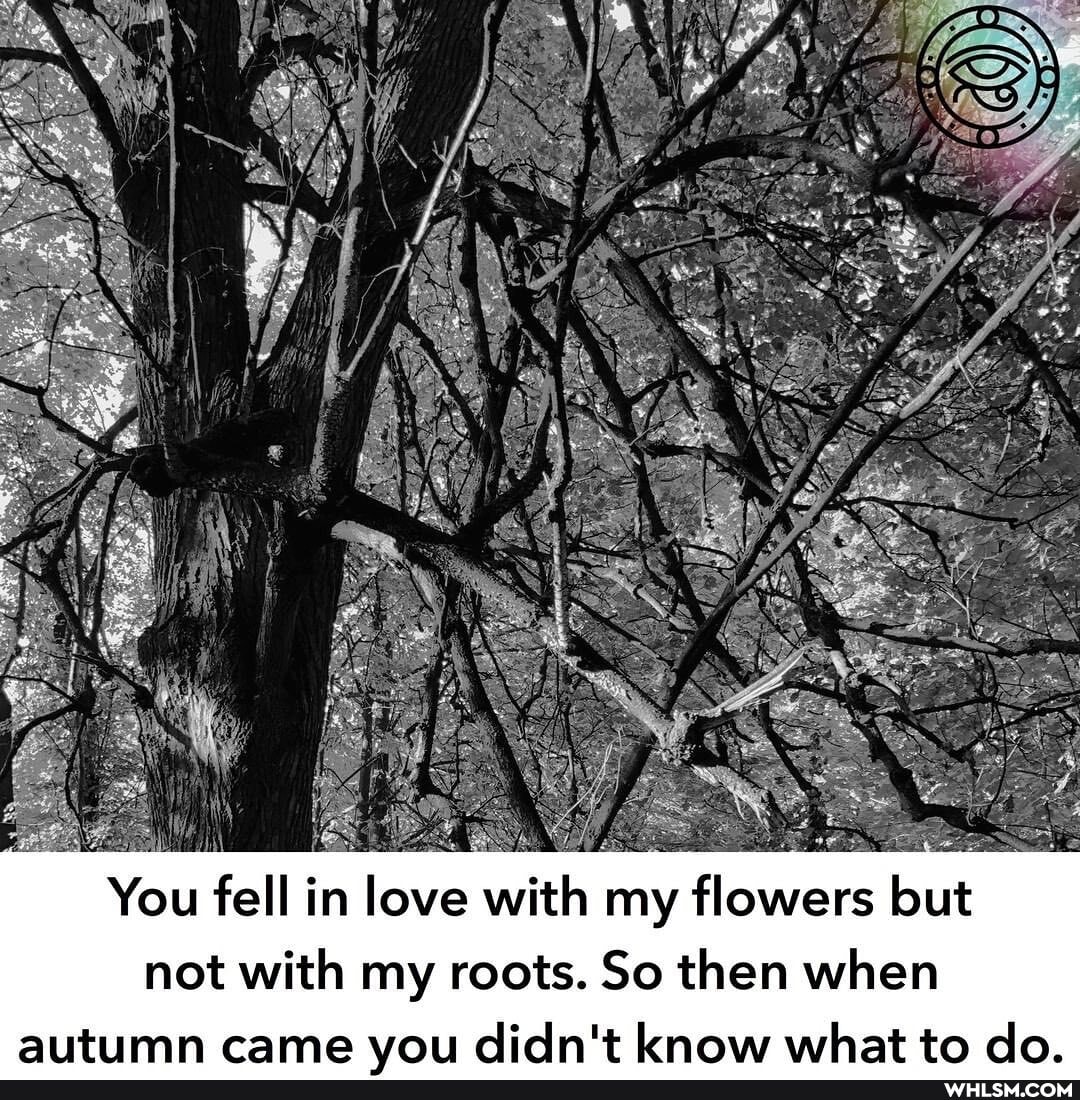 You fell in love with my flowers but not with my roots. So then when
won