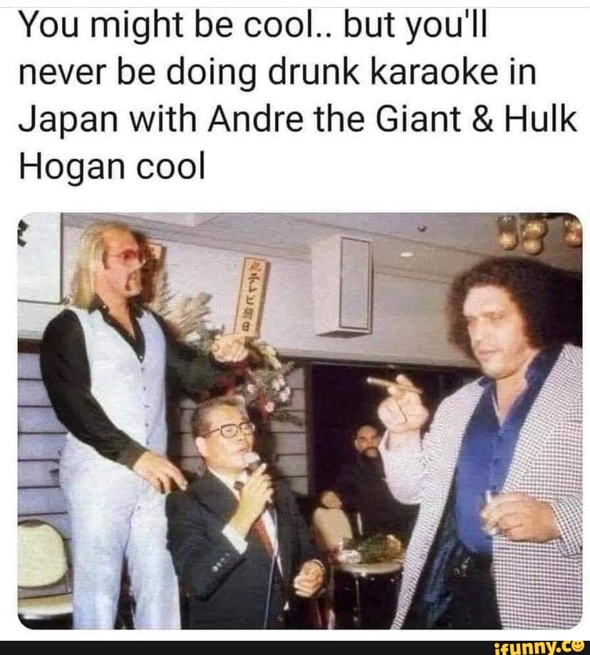 You might be cool.. but you'll never be doing drunk karaoke in
Japan with Andre the Giant & Hulk
Hogan cool