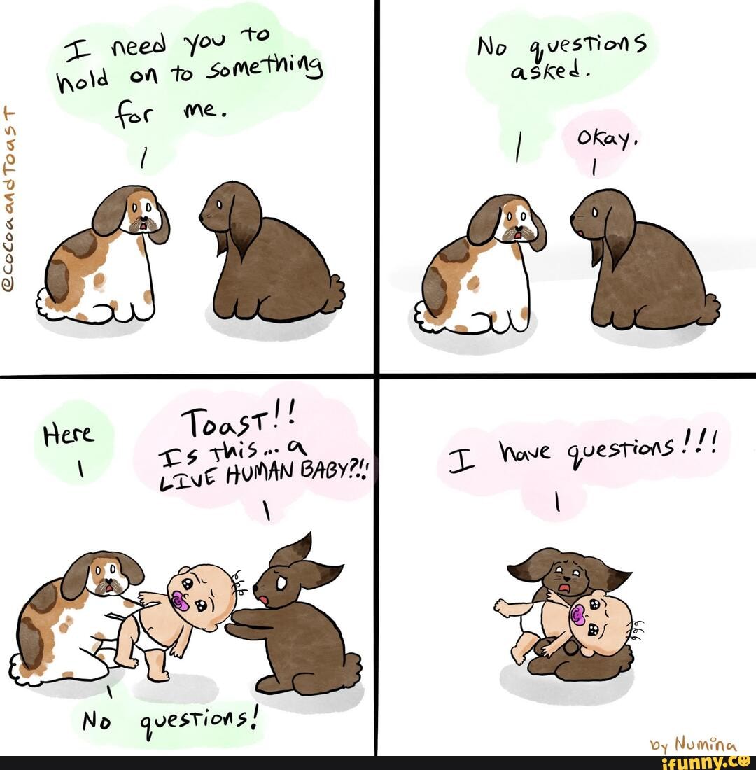 bunnies #bunny #humor #cute #funny #comics #rabbits #adorable #weird #pets  #noquestionsasked #baby #cute_animal #cuteness_overload #comicstrip - need  you 'to me. old of to sometning No qvestions asked. I Okay, tous T Live