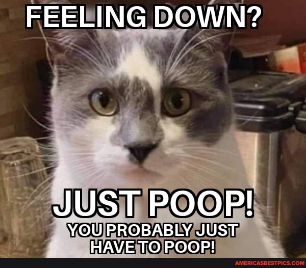 FEELING DOWN? JUST POOP! YOU PROBABLY JUST HAVE TO POOP! - America’s ...