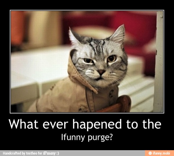 What ever hapened to the
funny purge? - What ever hapened to the
Ifunny purge?