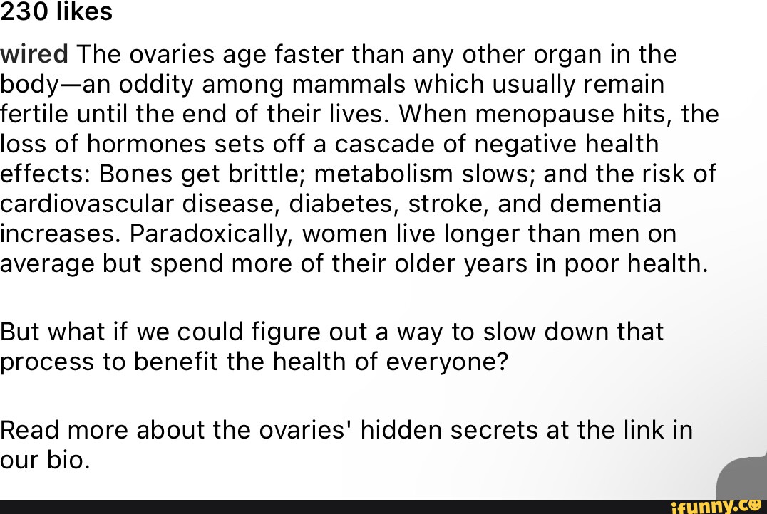 230 Likes Wired The Ovaries Age Faster Than Any Other Organ In The Body